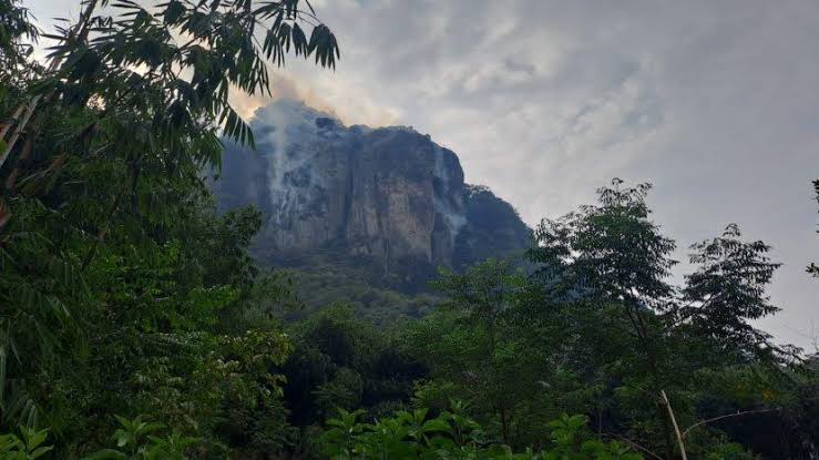 Gunung Bongkok Kebakaran, Karena Monyet Curi Ayam Bakar Pendaki. Bara Api Ikut Terbawa?