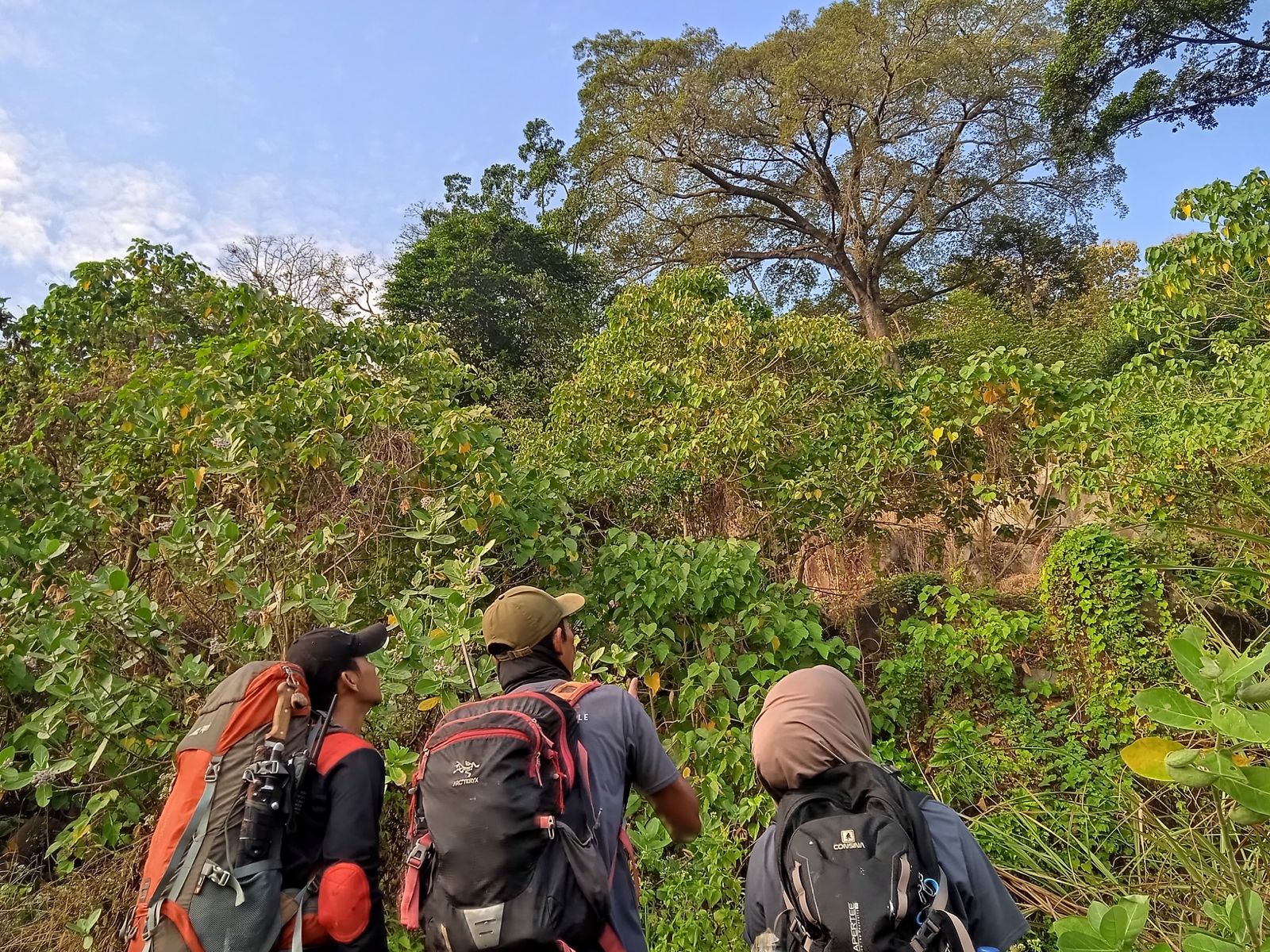 Yuk Cekidot Keseruan Tim Ekspedisi Owa Jawa Sanggabuana dalam Mendata Owa Jawa di Pegunungan Sanggabuana