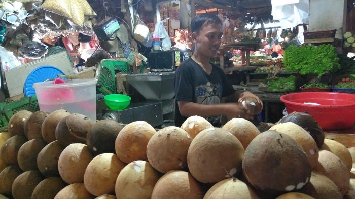 Per Butir Rp. 25 Ribu, Harga Kelapa Naik 3 Kali Lipat di Purwakarta. UMKM dan Pedagang Kelimpungan, Betulkah Guys? 